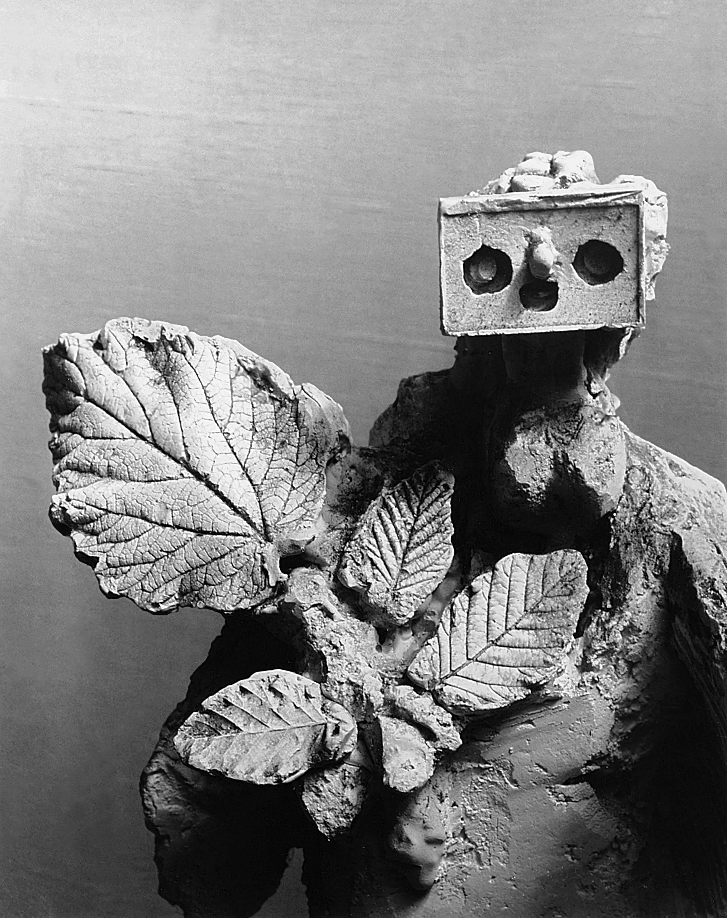 Picasso vu par Brassai　ピカソ　ブラッサイ　ブラッシャイ PICASSO VU PAR BRASSAI – ARTRANDOM
